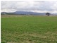 Lower Belford NSW 2335