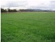 Lower Belford NSW 2335