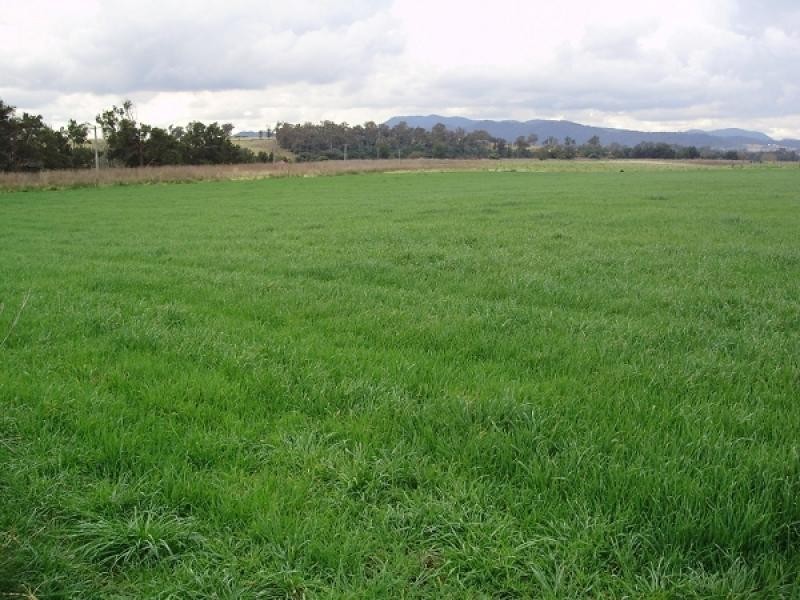 Lower Belford NSW 2335
