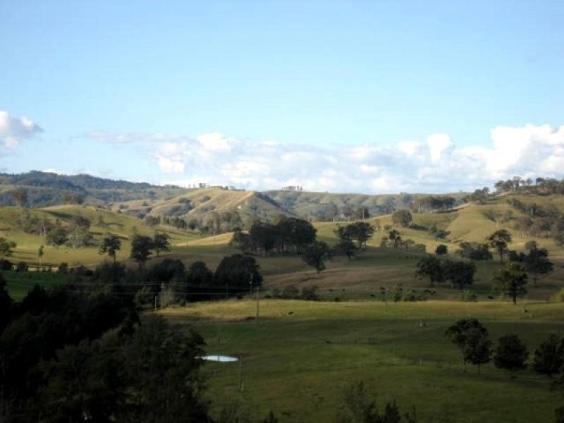 Torryburn NSW 2421