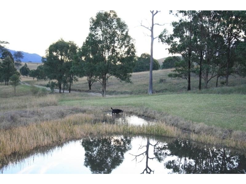 Torryburn NSW 2421