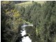 Torryburn NSW 2421