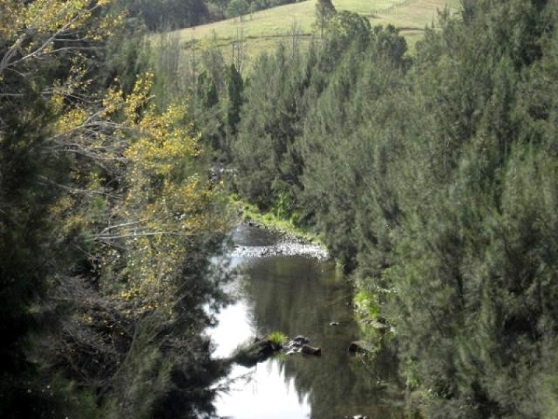 Torryburn NSW 2421