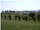 293 Aberglasslyn Road, Aberglasslyn NSW 2320