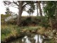 158 Moonabung Road, Vacy NSW 2421