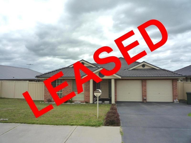 81 Budgeree Drive, Aberglasslyn NSW 2320