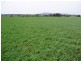 Lower Belford NSW 2335