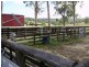 Butterwick NSW 2321