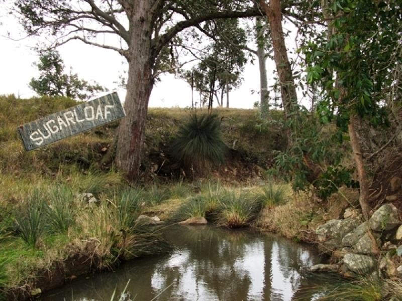 158 Moonabung Road, Vacy NSW 2421