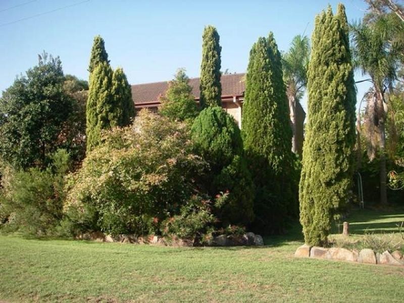 234 Paterson Road, Bolwarra Heights NSW 2320