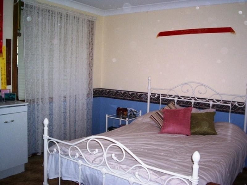 234 Paterson Road, Bolwarra Heights NSW 2320