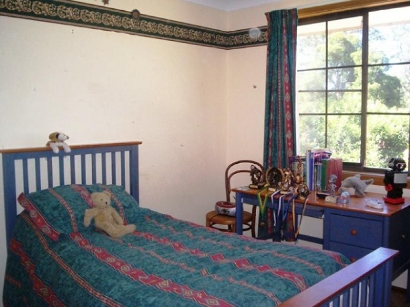 234 Paterson Road, Bolwarra Heights NSW 2320