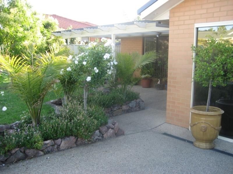 37 Richard Road, Aberglasslyn NSW 2320