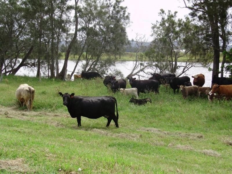 1074 Seaham Road, Seaham NSW 2324