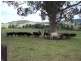 Vacy NSW 2421
