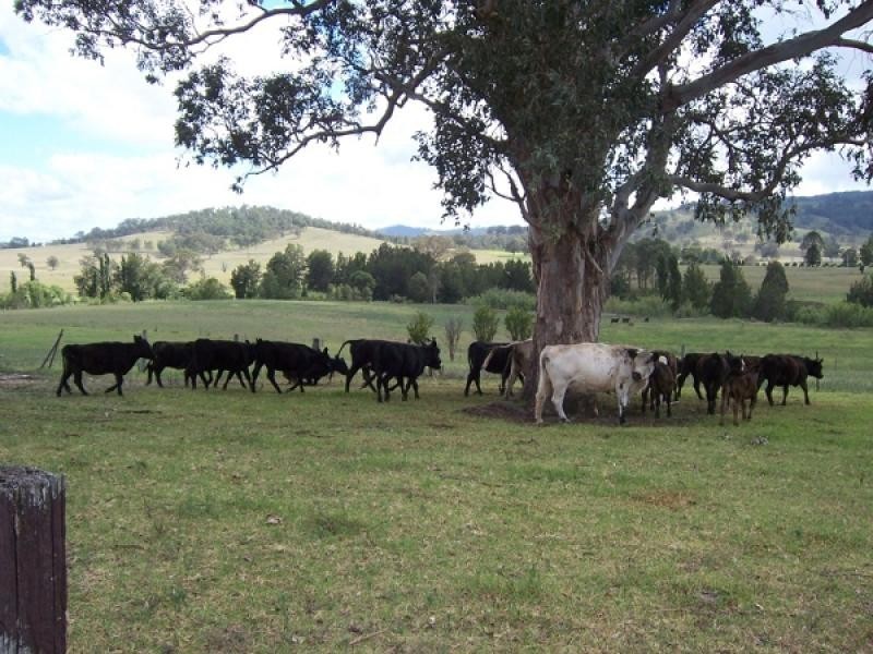 Vacy NSW 2421