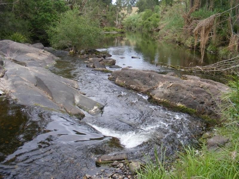 Vacy NSW 2421