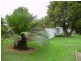 3 York Street, Greta NSW 2334