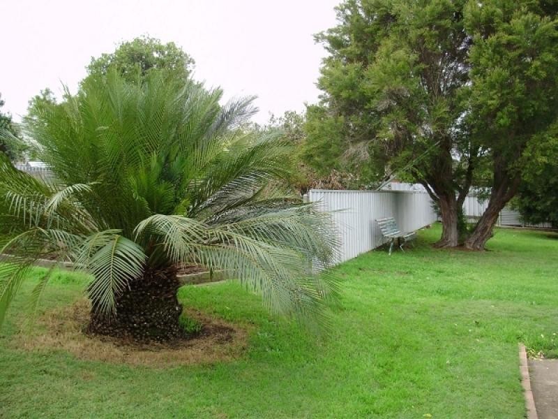 3 York Street, Greta NSW 2334