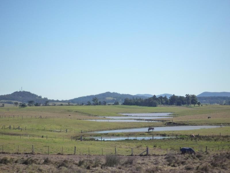 37 Richard Road, Aberglasslyn NSW 2320
