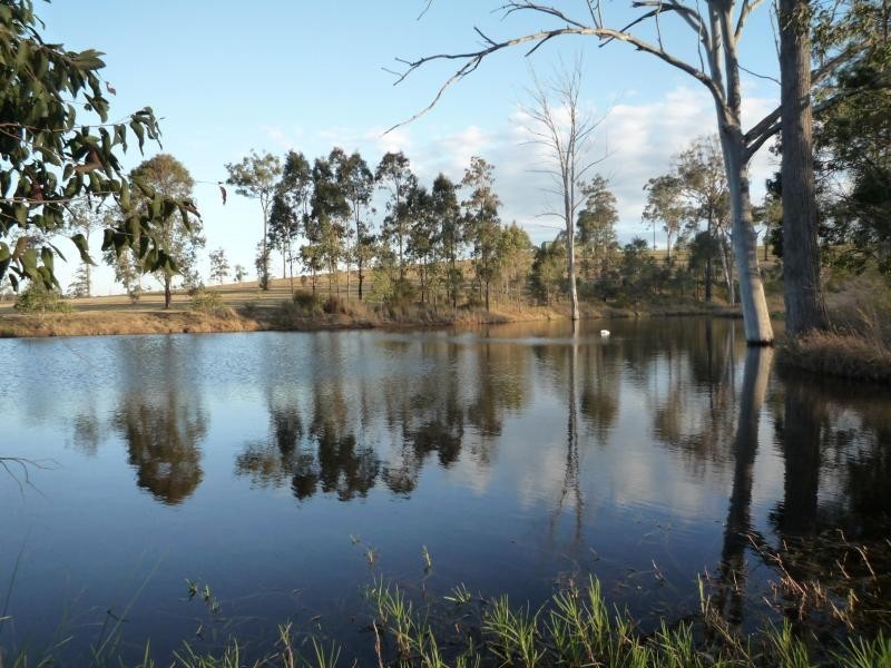 Maitland NSW 2320