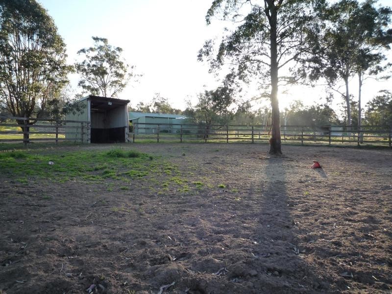 Maitland NSW 2320