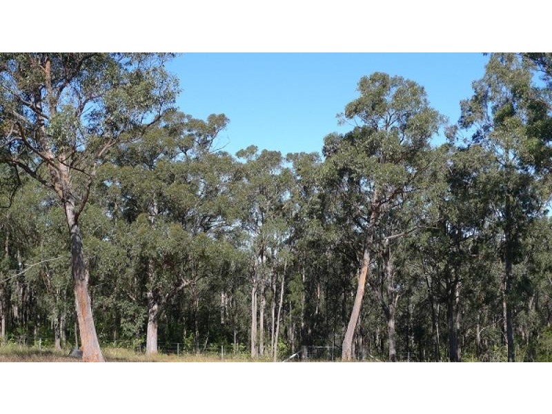 588 Webbers Creek Road, Paterson NSW 2421