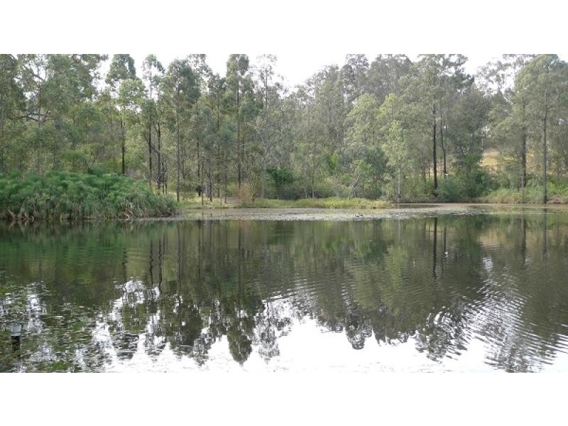 113 Black Rock Road, Martins Creek NSW 2420