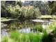 1190 Old Maitland Road, Sawyers Gully NSW 2326