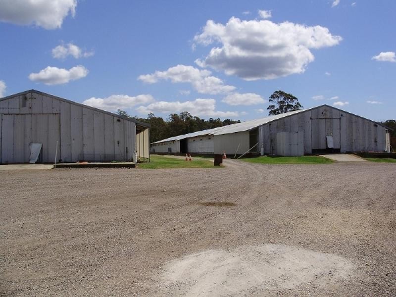 9 Mooghin Road, Seaham NSW 2324 the real estate agency Withdrawn