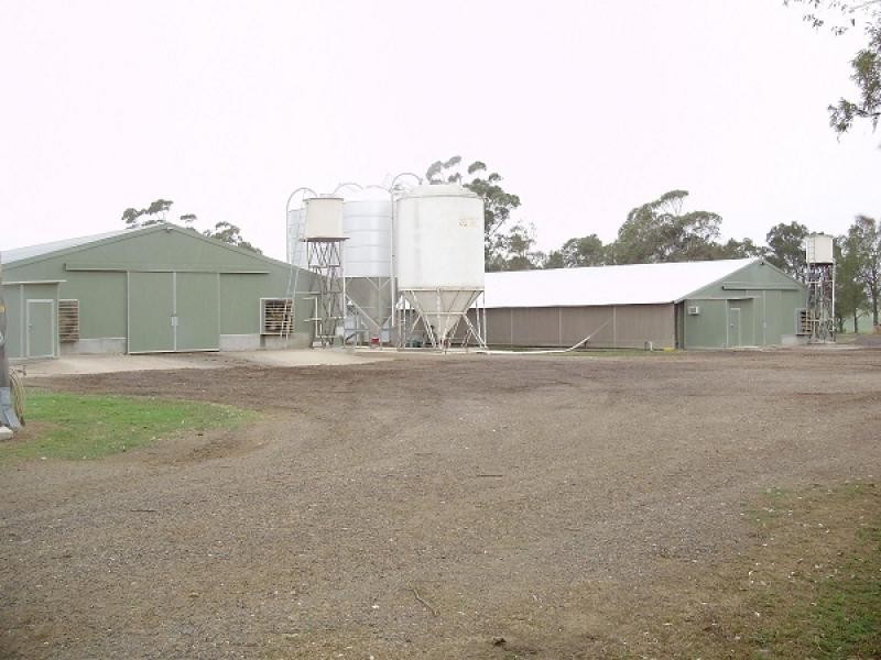 63 Pywells Road, Luskintyre NSW 2321