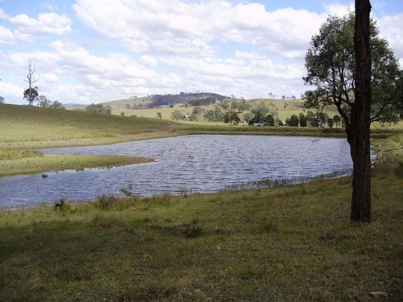 354 Clements Road, East Gresford NSW 2311