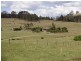 354 Clements Road, East Gresford NSW 2311