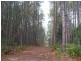 81 Warri Street, Pindimar NSW 2324