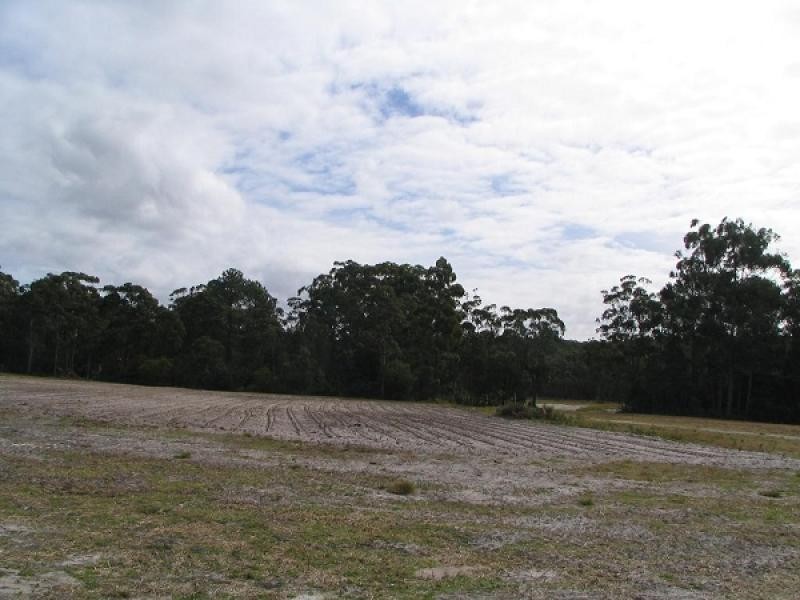 81 Warri Street, Pindimar NSW 2324