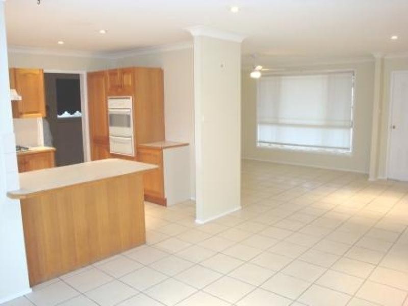 14 Carroll Avenue, Rutherford NSW 2320