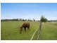 131 Quarry Road, Farley NSW 2320