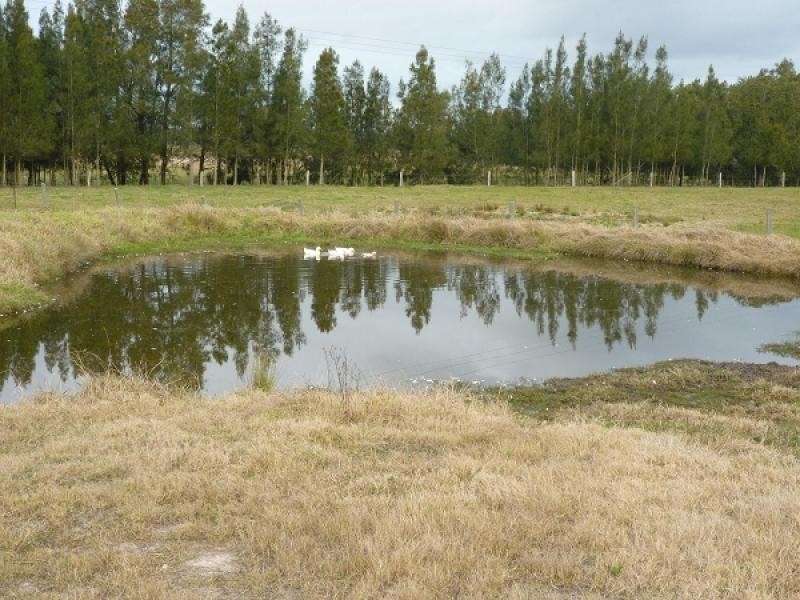 645 Wollombi Road, Bishops Bridge NSW 2326