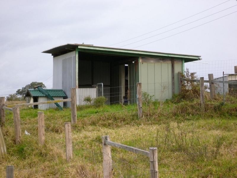 645 Wollombi Road, Bishops Bridge NSW 2326