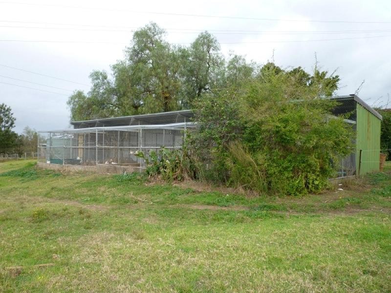 645 Wollombi Road, Bishops Bridge NSW 2326