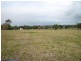 645 Wollombi Road, Bishops Bridge NSW 2326