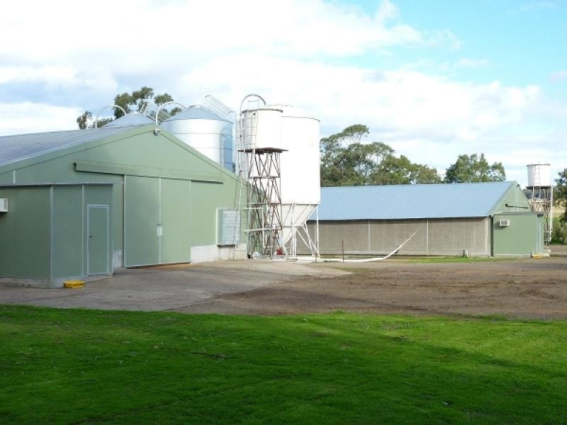 63 Pywells Road, Luskintyre NSW 2321