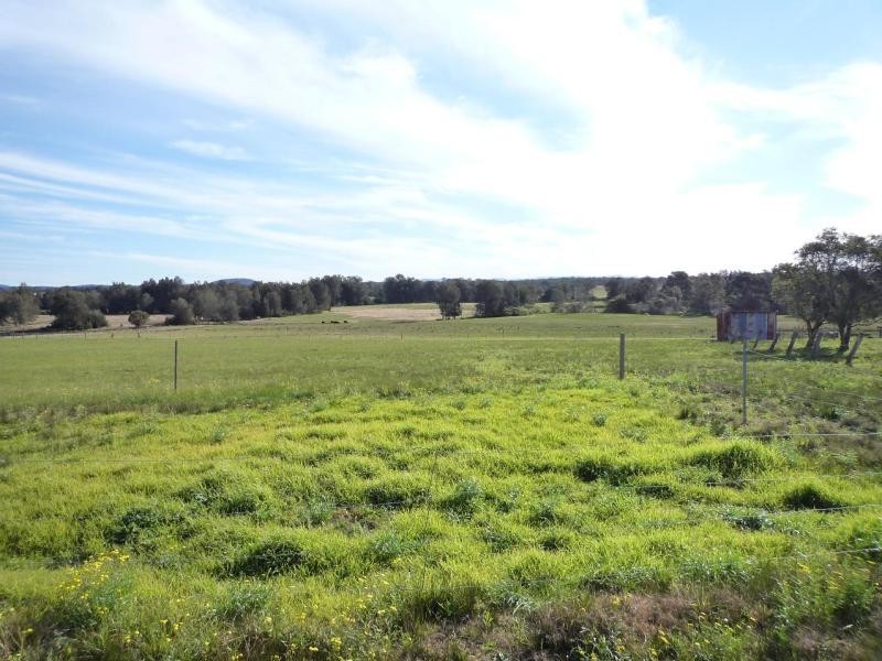 846 Buchanan Road, Buchanan NSW 2323