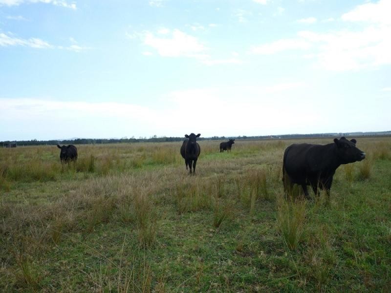 124 Woodberry Road, Millers Forest NSW 2324