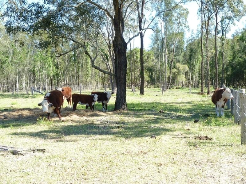 10 Alexander Drive, Seaham NSW 2324