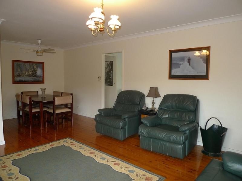 48 Houston Avenue, Tenambit NSW 2323