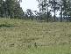 Cann River VIC 3890