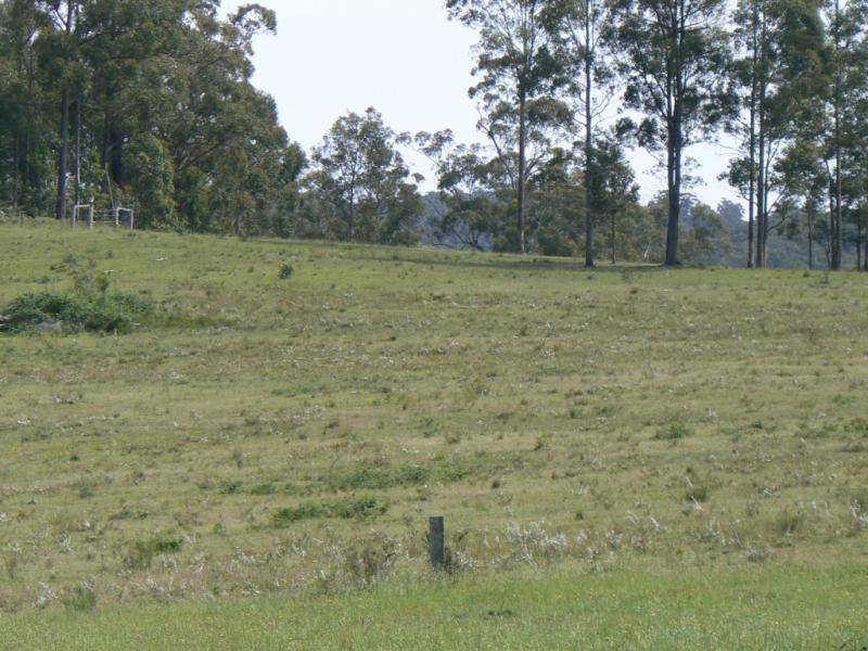 Cann River VIC 3890