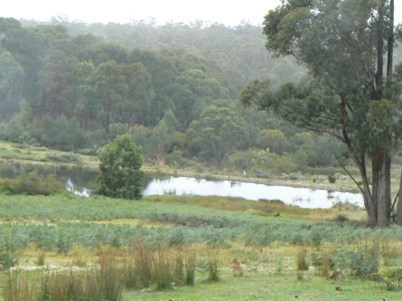2400 PRINCES HIGHWAY, NOWA NOWA, Orbost VIC 3888