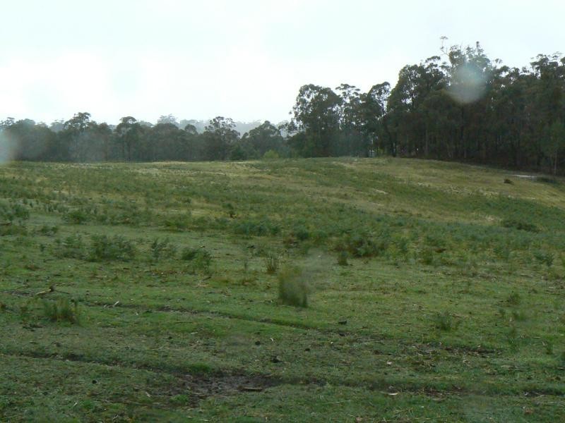 2400 PRINCES HIGHWAY, NOWA NOWA, Orbost VIC 3888